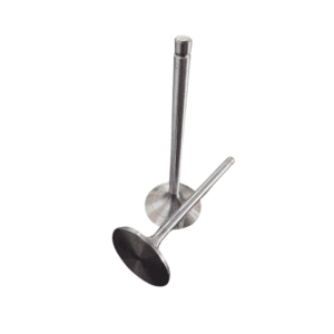 INTAKE VALVE 315SG 4045 ENGINE | R98062